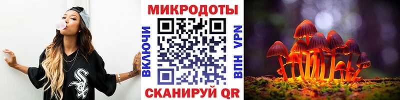 Купить где Железногорск-Илимский Галлюциногенные грибы Psilocybe